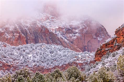 is there snow in zion national park right now.